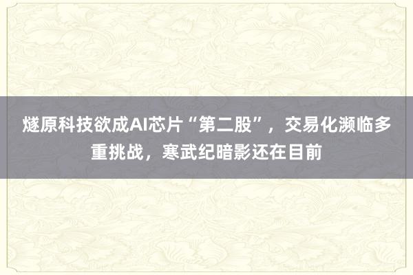 燧原科技欲成AI芯片“第二股”，交易化濒临多重挑战，寒武纪暗影还在目前